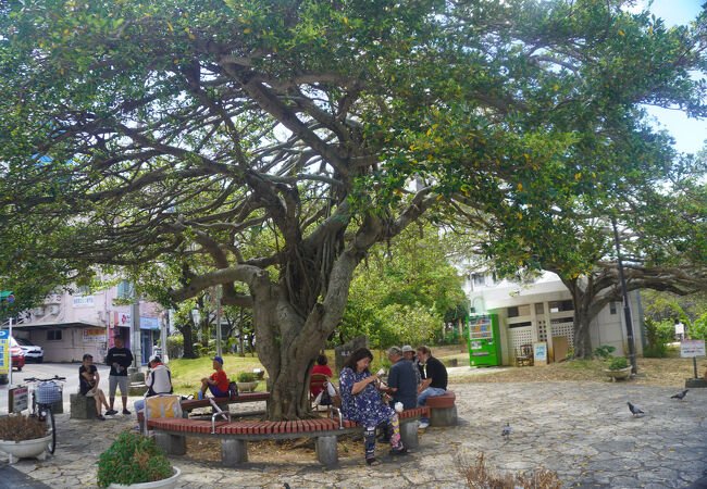 🌳 마키시 공원 (마키시코엔) 이미지 2